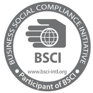 Bsci Logo1